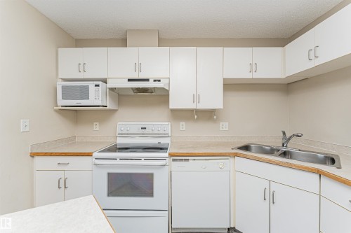 524 10535 122 Street, Edmonton, AB - Indoor Photo Showing Kitchen With Double Sink