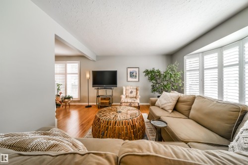 Living area featuring wood-finish flooring, light gray walls, and white plantation shutters on a bay window - 10231 46 Street, Edmonton, AB - Indoor Photo Showing Living Room