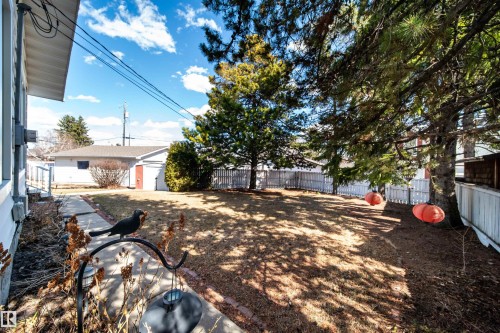 Spacious backyard with mature evergreen trees, a white picket fence, and a detached garage with a red door - 10231 46 Street, Edmonton, AB - Outdoor