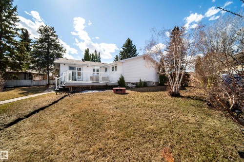 Spacious backyard featuring a white vinyl-sided residence with a raised deck, white railing, and mature evergreen trees - 10231 46 Street, Edmonton, AB - Outdoor With Deck Patio Veranda