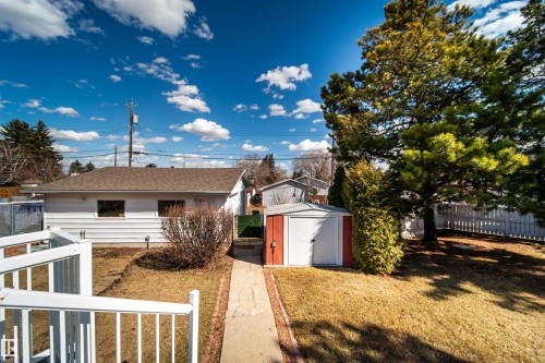 Expansive backyard featuring a mature evergreen tree, a white picket fence, and a storage shed with red trim - 10231 46 Street, Edmonton, AB - Outdoor