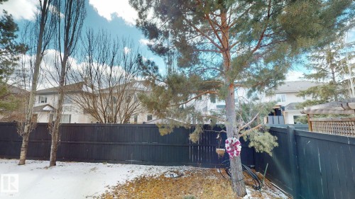 The property features a fenced yard with a combination of mature evergreen and deciduous trees, and a wooden trellis structure - 613 Todd Link, Edmonton, AB - Outdoor