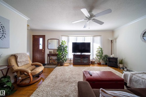 Living room featuring wood-finish flooring, crown molding, a ceiling fan, and a front entry door with a frosted glass insert - 8932 154 Street, Edmonton, AB - Indoor Photo Showing Living Room