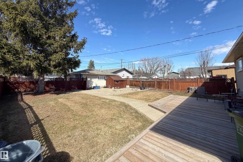 Spacious backyard featuring a large wooden deck, mature evergreen trees, and a concrete pathway - 8932 154 Street, Edmonton, AB - Outdoor