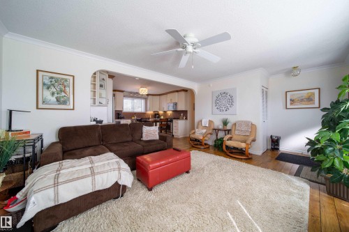 Bright living area featuring wood-finish flooring, white ceiling fan, and crown molding - 8932 154 Street, Edmonton, AB - Indoor Photo Showing Living Room
