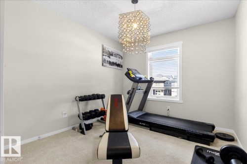 19721 27 Avenue, Edmonton, AB - Indoor Photo Showing Gym Room