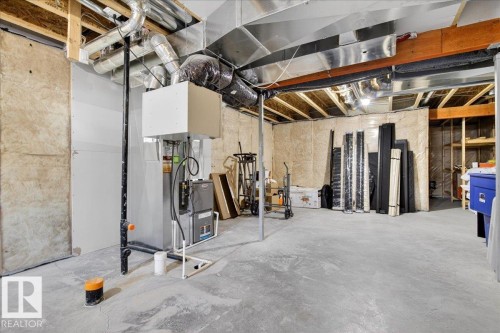 19721 27 Avenue, Edmonton, AB - Indoor Photo Showing Basement