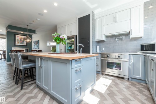 9629 84 Avenue, Edmonton, AB - Indoor Photo Showing Kitchen With Upgraded Kitchen