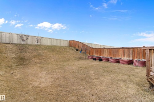 Expansive backyard featuring a partial wood fence, a partial stained wood fence, and a series of circular garden beds - 3314 9 Street Nw, Edmonton, AB - Outdoor