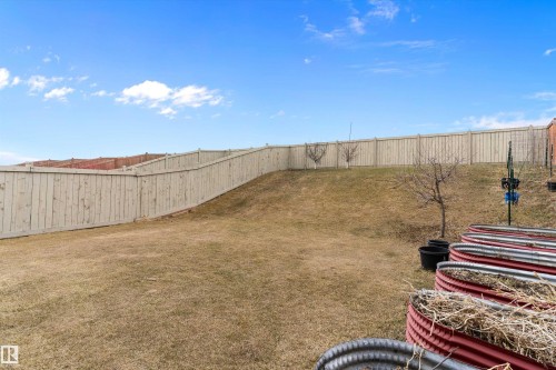 Expansive backyard featuring a new wooden privacy fence, a sloped grass lawn, and several raised garden beds - 3314 9 Street Nw, Edmonton, AB - Outdoor