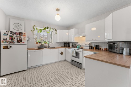 8759 92 Avenue, Edmonton, AB - Indoor Photo Showing Kitchen With Double Sink