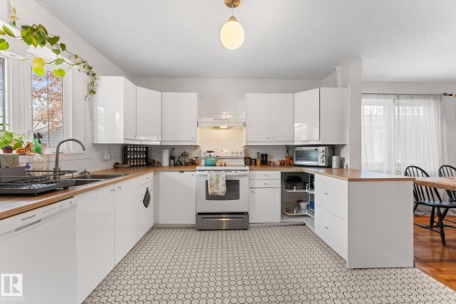 8759 92 Avenue, Edmonton, AB - Indoor Photo Showing Kitchen With Double Sink