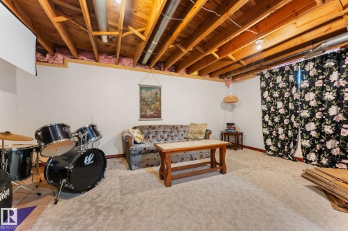 8759 92 Avenue, Edmonton, AB - Indoor Photo Showing Basement