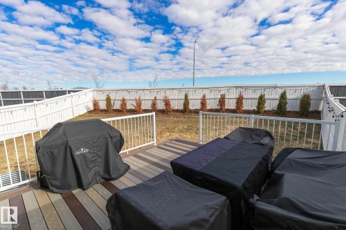 2808 152 Avenue, Edmonton, AB - Outdoor With Deck Patio Veranda