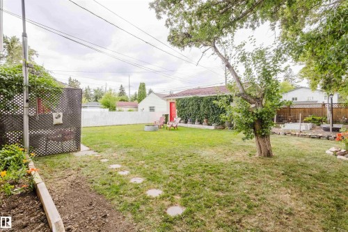 Expansive backyard featuring a large grassy area, stepping stone pathway, and mature trees - 12026 104 Street, Edmonton, AB - Outdoor