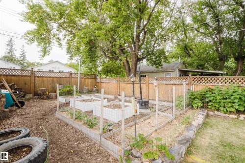 Fenced backyard featuring multiple raised garden beds, a rock retaining wall, and mature trees - 12026 104 Street, Edmonton, AB - Outdoor