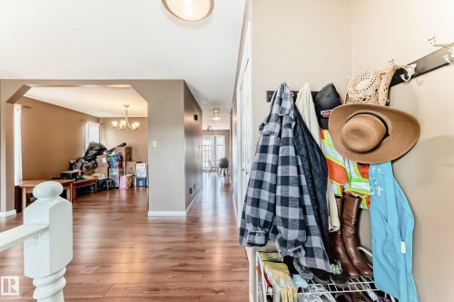 Hardwood-finish flooring extending through an arched doorway into an open-concept area - 9845 184 Street, Edmonton, AB - Indoor