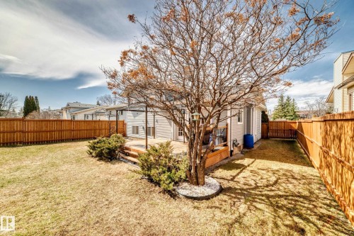 Expansive backyard featuring a lawn, wood fencing, and a multi-level wood deck - 9845 184 Street, Edmonton, AB - Outdoor