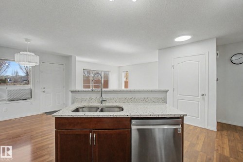 1311 117 Street, Edmonton, AB - Indoor Photo Showing Kitchen With Double Sink