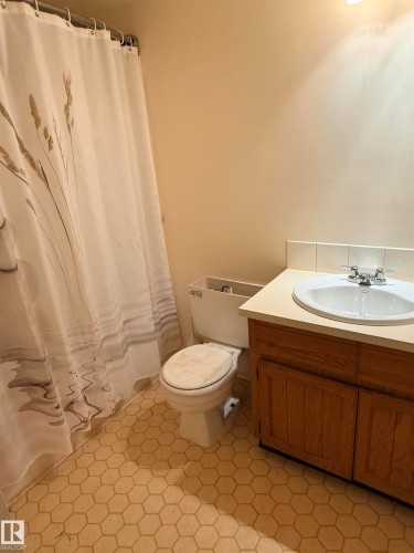 202 3610 43 Avenue, Edmonton, AB - Indoor Photo Showing Bathroom