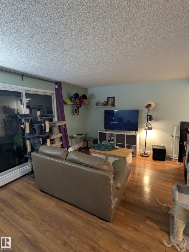 Living area featuring hard surface flooring, light-colored walls, and a sliding glass door - 2 9140 149 Street, Edmonton, AB - Indoor Photo Showing Living Room