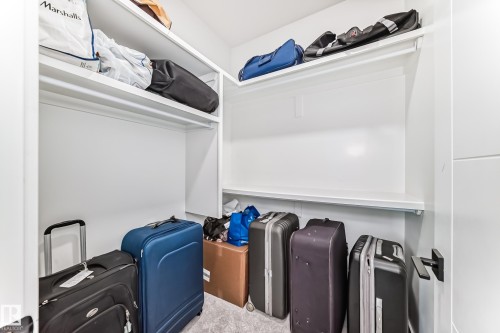 Walk-in closet featuring built-in shelving, hanging rods, light gray carpeting, and white walls - 17459 80 Street, Edmonton, AB - Indoor