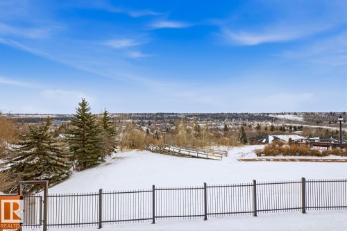 Expansive snow-covered landscape with mature evergreen trees - 115 10105 95 Street, Edmonton, AB - Outdoor With View