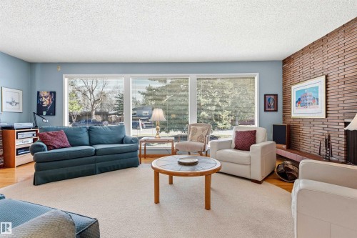 6308 131 Street, Edmonton, AB - Indoor Photo Showing Living Room