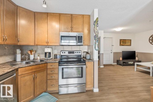106 1204 156 Street Nw, Edmonton, AB - Indoor Photo Showing Kitchen With Double Sink