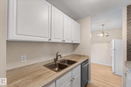 102 13910 Stony Plain Road, Edmonton, AB - Indoor Photo Showing Kitchen With Double Sink