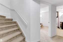 Carpeted staircase with white handrail and baseboards - 