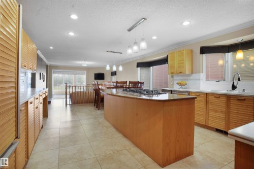 10815 Bearspaw Dr E Nw, Edmonton, AB - Indoor Photo Showing Kitchen