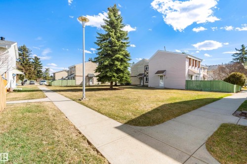 Expansive grassy area with mature evergreen trees and concrete pathways - 15C Callingwood Crest, Edmonton, AB - Outdoor
