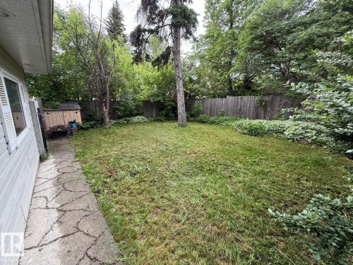 Expansive green space featuring mature trees and a flagstone pathway - 11643 76 Avenue Nw, Edmonton, AB - Outdoor