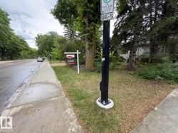 Residential streetscape with established trees, concrete sidewalk, and grassy verge - 