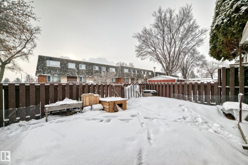 Private backyard featuring a full-height privacy fence, mature trees, and a sloped terrain - 3325 107 Avenue Nw, Edmonton, AB - Outdoor