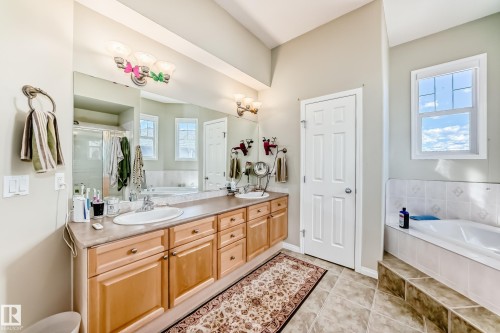 17808 109 Street Nw, Edmonton, AB - Indoor Photo Showing Bathroom