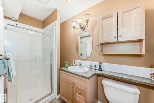 17808 109 Street Nw, Edmonton, AB - Indoor Photo Showing Bathroom