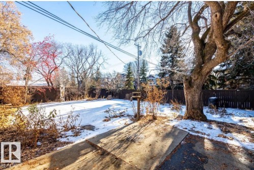 Expansive backyard featuring a large mature tree, a full perimeter fence, and a concrete patio area - 11681 72 Avenue, Edmonton, AB - Outdoor