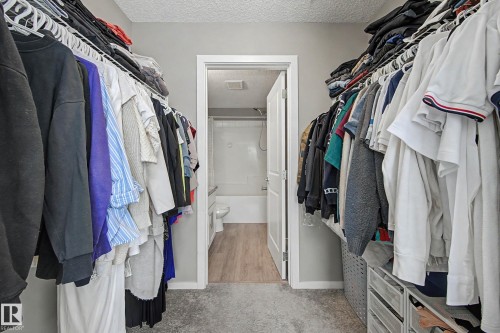 Walk-in closet with carpet flooring, wire shelving, and an entry to an additional bath featuring wood-finish flooring and a toilet - 217 394 Windermere Road, Edmonton, AB - Indoor With Storage