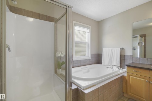 103 Griesbach Road, Edmonton, AB - Indoor Photo Showing Bathroom