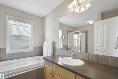 103 Griesbach Road, Edmonton, AB - Indoor Photo Showing Bathroom