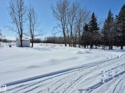 The property features a spacious snow-covered yard with mature deciduous and evergreen trees, and a white storage shed - 