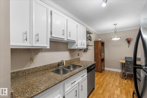 308 10520 80 Avenue, Edmonton, AB - Indoor Photo Showing Kitchen With Double Sink