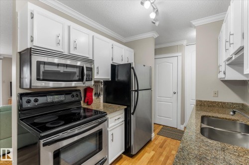308 10520 80 Avenue, Edmonton, AB - Indoor Photo Showing Kitchen With Double Sink