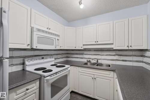 #113 13625 34 St Nw, Edmonton, AB - Indoor Photo Showing Kitchen With Double Sink