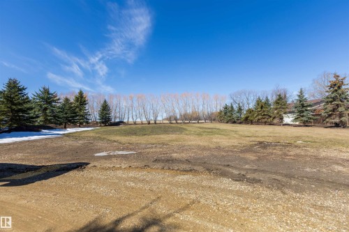 Expansive land parcel featuring mature evergreen trees and a distant line of deciduous trees - 2B Discovery Avenue, Rural Sturgeon County, AB 