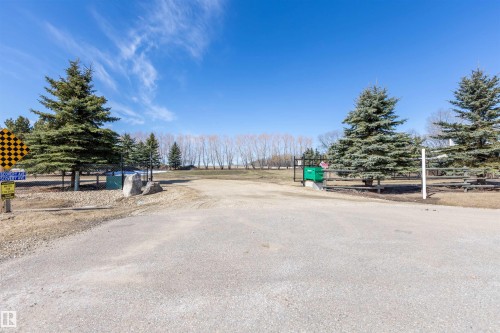 Paved driveway entry framed by mature evergreen trees - 2B Discovery Avenue, Rural Sturgeon County, AB 
