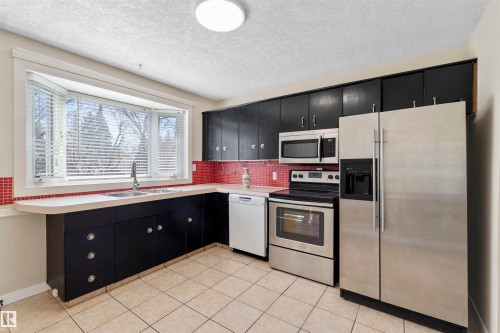 10715 135 Street, Edmonton, AB - Indoor Photo Showing Kitchen With Double Sink