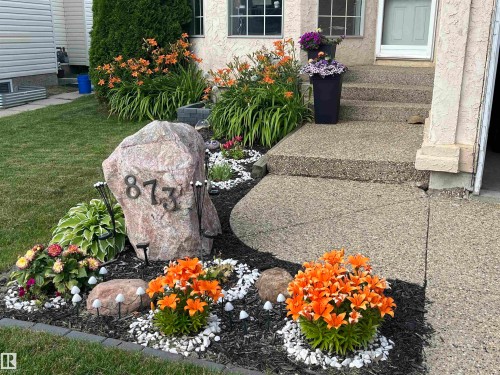 873 Ryan Pl, Edmonton, AB - Outdoor